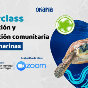 Investigación y conservación de Tortugas Marinas